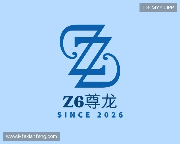 了解Z6尊龙