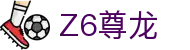 尊龙·Z6 (中国认证)集团有限公司官网